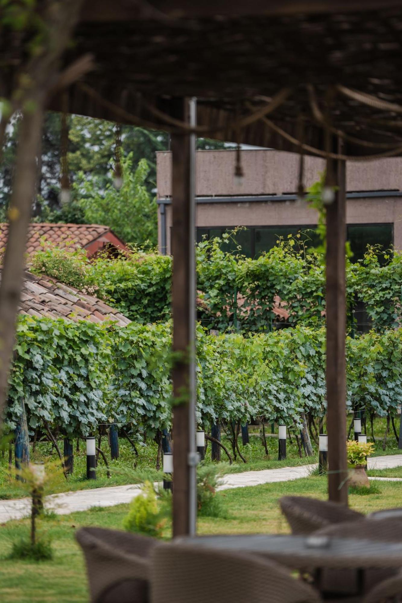 Vineyard Hotel&Winery Napareuli Exterior foto